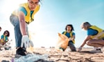 Beach Clean Up Katwijk Events